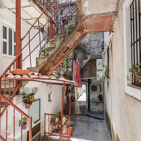 Petrangela *